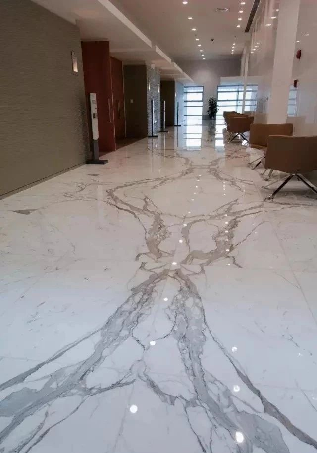 微信圖片_20250519144653.png