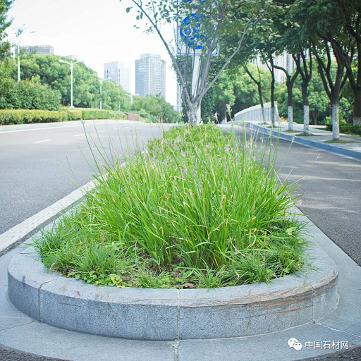 微信圖片_20250612150246.png