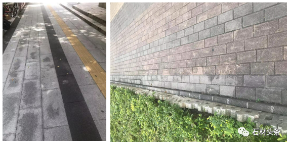微信圖片_20250613090421.png