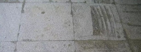 微信圖片_20250624091454.jpg