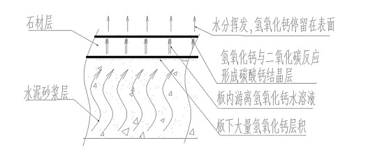 微信圖片_20250709145339.jpg