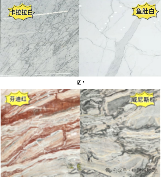 微信圖片_20250711114904.png