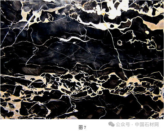 微信圖片_20250711114906.png