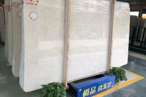 白玉蘭