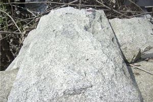 芝麻白蘑菇石