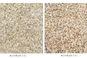 山東黃金麻小花、大花 山東黃金麻工廠直銷