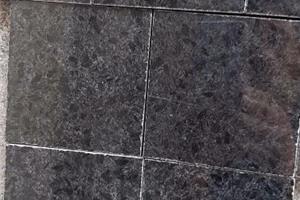 新福鼎黑  新684