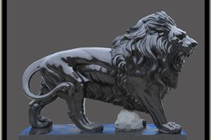 中国黑狮子