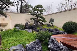黑山石