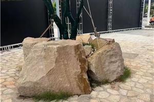 太行金树围 (1)