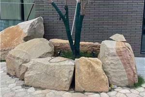 太行金树围 (2)