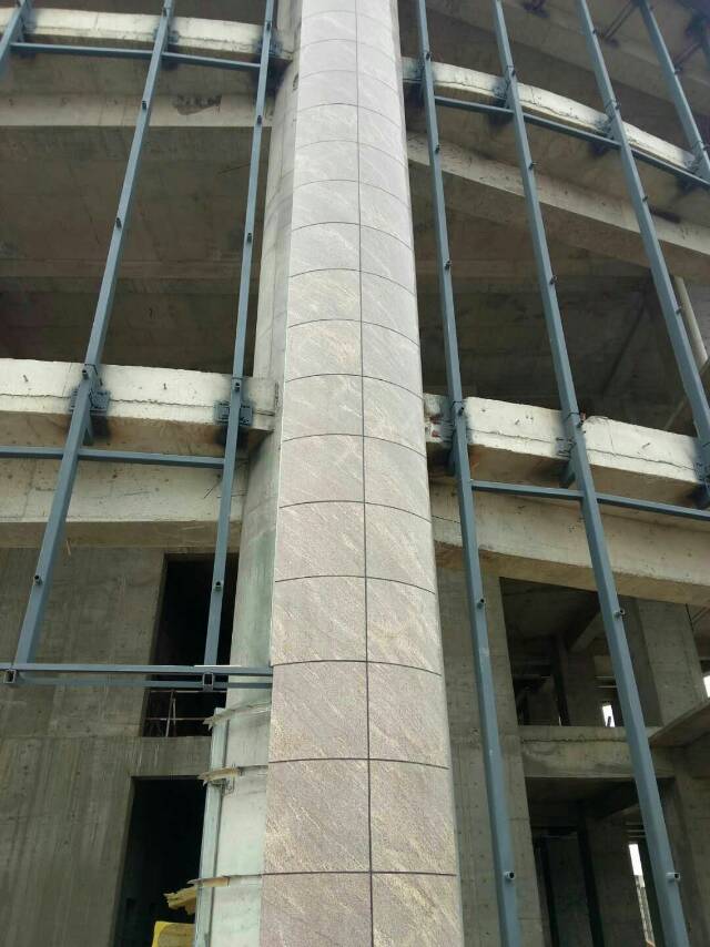 加州金麻(圆柱)