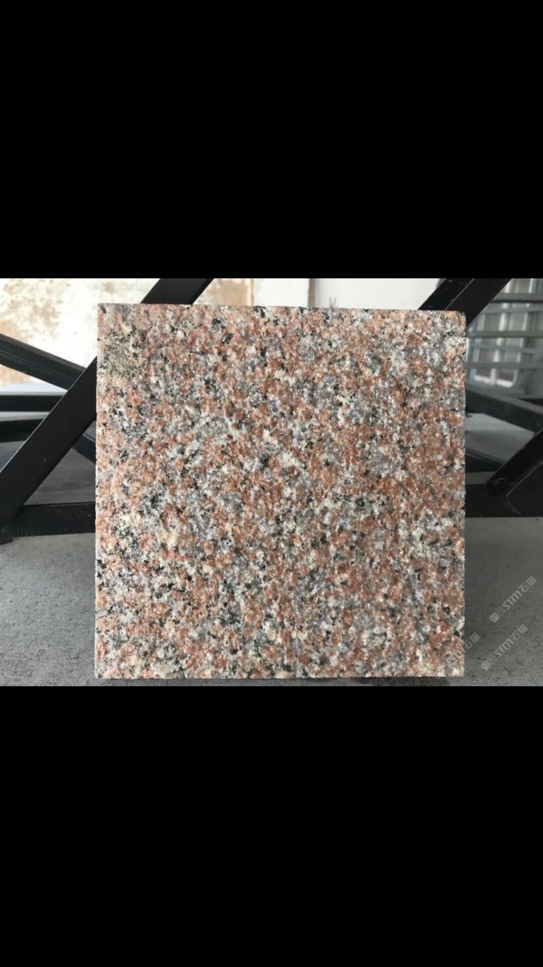 新永定红荔枝面